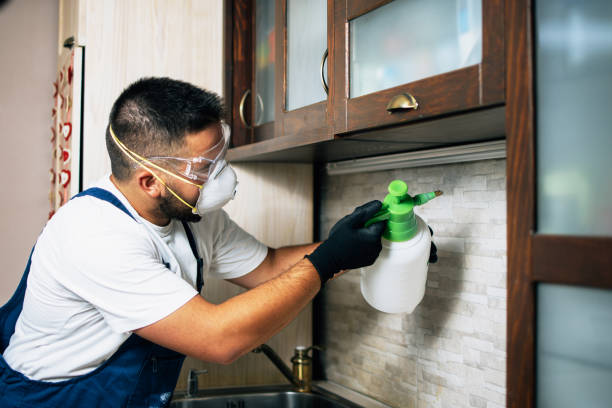 Best Affordable Pest Control Services  in Brushy, OK