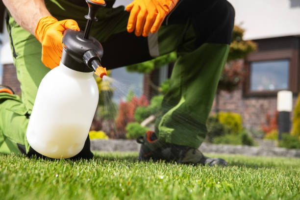 Best Wildlife Control Services  in Brushy, OK