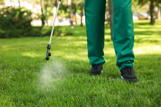 Professional Pest Control in Brushy, OK