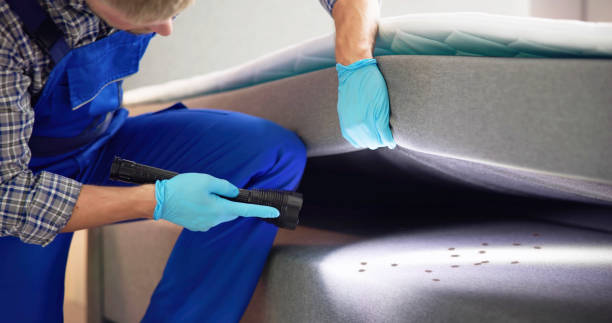 Best Rat Extermination Near Me  in Brushy, OK