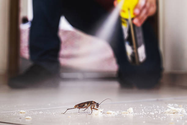 Best Pest Control Near Me  in Brushy, OK