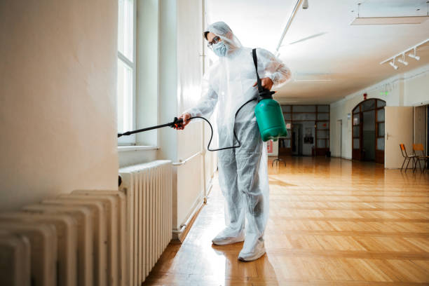 Best Exterminator Services  in Brushy, OK